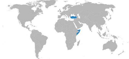 Somalia, turkey countries isolated on world map. Light gray background. Business concepts and backgrounds.