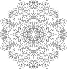 mandala vector illustration floral premium
