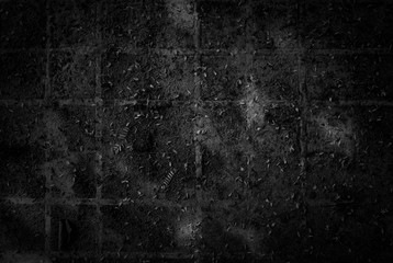 Dark ground texture with fallen leaves, black and white tone