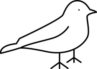bird 