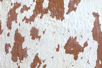
texture of old wall with clouded grays white wall and rust