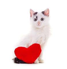 Fototapeta na wymiar Little cat with a heart.