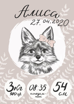 Metric baby girl poster with little fox with bow sketch, hand drawn Russian text, English translation - Alissa, monday, 54cm, 3980 gram. Newborn information. Greeting poster card with lettering