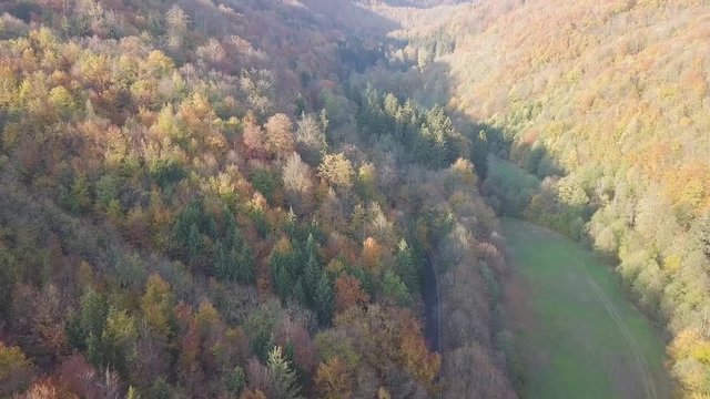 Aerial top down view of autumn forest with green and yellow trees. Mixed deciduous and coniferous forest. Beautiful fall scenery in Great Britain.