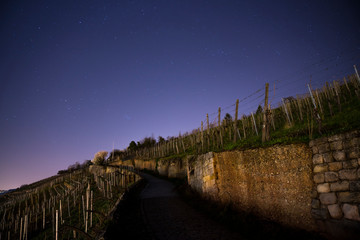 Germany, Esslingen am Neckar, Starry night sky full of stars moving over busy path up the vineyards in dark night