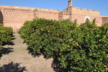 view of the palace