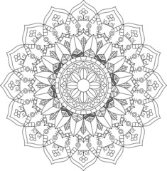 mandala premium vector illustration 