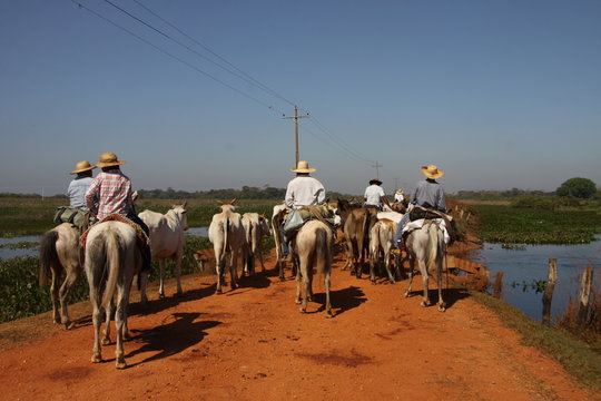 Pantanal- Pantaneiros bei der Arbeit.
Canon EOS 50D
Iso 100
Blende 11
42 mm