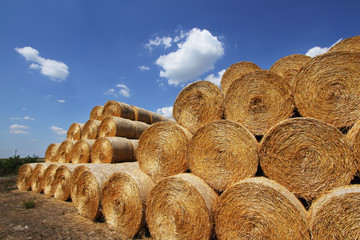 Stack of hay bales after harvest