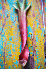 Fresh pink rhubarb on background 