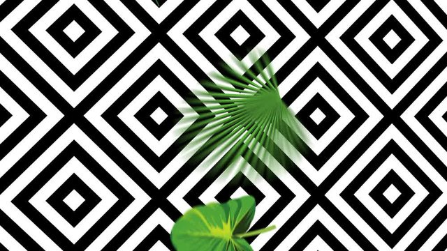 Falling green tropical leaves on a geometric black and white background. Exotic botanical 4k animation from realistic vector hand drawn objects in motion 