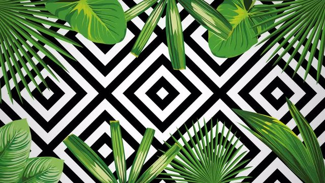 Exotic jungle green plant tropical palm banana leaves. Pattern floral vector animation on the black white geometric background. Nature border motion video wallpaper.