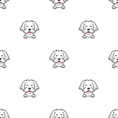 Cartoon character maltese dog seamless pattern background for design.
