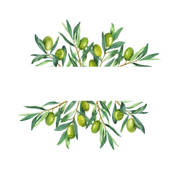Fresh green olive berries and green leaves border isolated on white background. Hand drawn watercolor illustration.