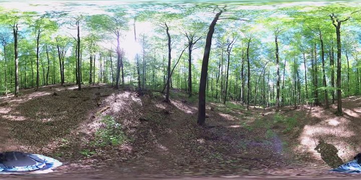 360VR, Senior wandert durch den Frühlingswald, VR360