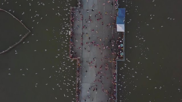 Aerial view landscape in sunset at Bang Pu Recreation Center is a seaside resort on the Bay with point of view seagulls