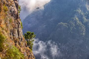 W Dolinie Zakonnic. Krajobrazy Madery. Egzotyczna i wulkaniczna portugalska wyspa. Skaliste i klifowe wybrzeże nad oceanem.  © anettastar
