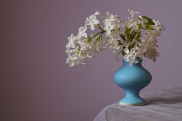 Spring flowers - white lilac (Syringa vulgaris)