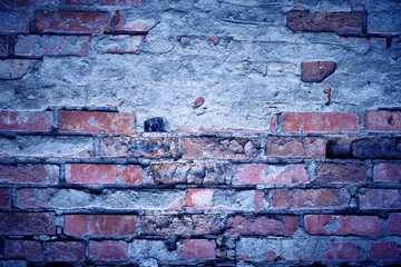 Background the old crumbling brick walls.