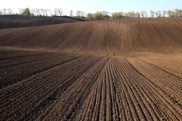 plowed field for sowing. cultivated soil for agricultural work.