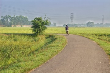 man walking in the countryside