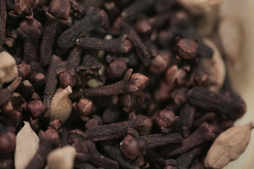 Spice Clove and Cardamom in Bowl