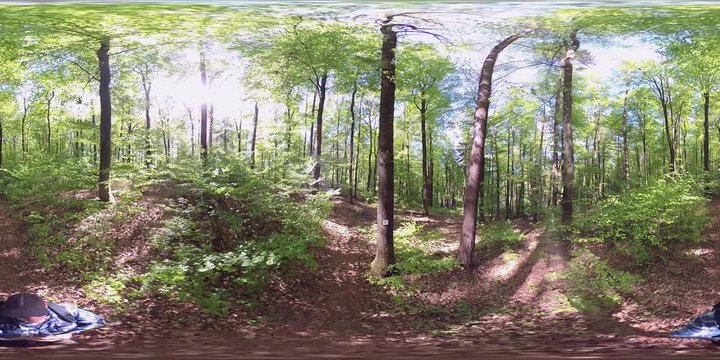 360VR, Senior wandert durch den Frühlingswald, VR360