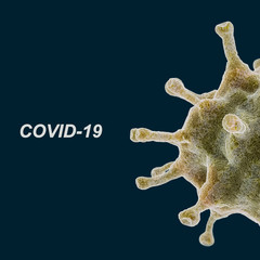 Half coronovirus cell with text COVID-19, closeup illustration