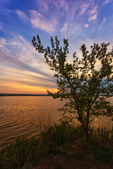 Fototapeta na wymiar Beautiful sunrise on the lake, with a tree in the foreground