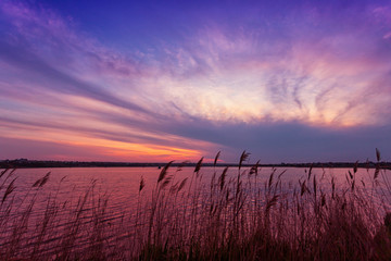 Beautiful sunrise on the lake, with reeds in the foreground
