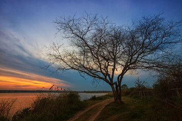 Beautiful sunrise on the lake, with a tree and a road along the shore in the foreground