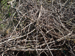 used wood processing residue europe