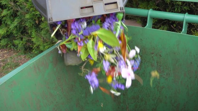 Normal speed, slow motion, then normal speed to finish. Close POV shot of various types of colourful flower and leaf cuttings tipping into a plastic  &lsquo;green waste only&rsquo; wheelie bin in a garden / yard.