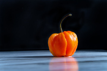 Image of Jamaican Scotch Bonnet Pepper printed on Printed Glass Splashbacks