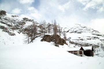 neve