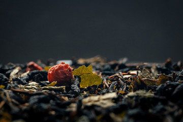 cranberries on the ground
