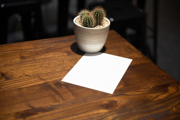 Papel blanco con cactus pequeño