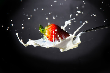 Reife rote Erdbeere fällt in einen Löffel mit Milch vor schwarzem  Hintergrund - Splash