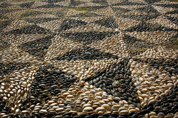 Sea stones are laid out as a pattern on earth