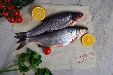 Two fresh fish vimba on baking sheet, gray wooden background, decorated with green fishing net, small tomatoes, parsley and lemon