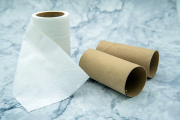 Toilet paper roll and paper tubes on background.