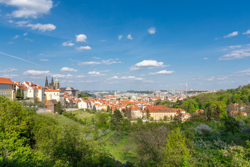 Fototapeta na wymiar View to Prague castle on the spring from blooming park