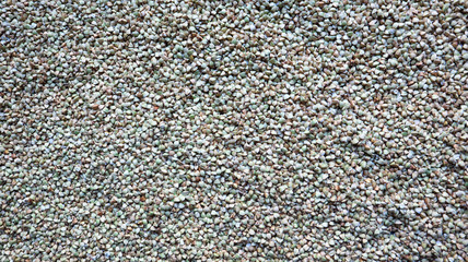 Background from raw organic green buckwheat porridge, vegan food. Texture of scattered buckwheat groats. Seeds are triangular in shape. Organic food. The concept of diet, weight loss, healthy eating.