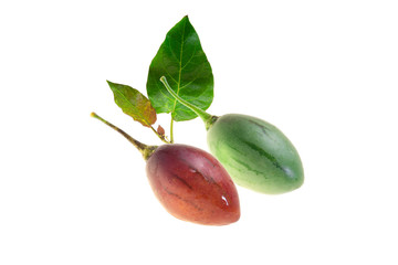 tamarillo isolated on white background