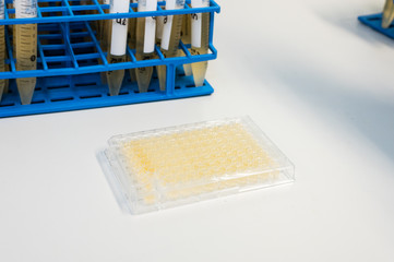 micro titer plate in a laboratory for biomedicine