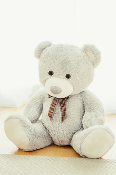 Large gray teddy bear sitting on the ground, lit by a large window behind him