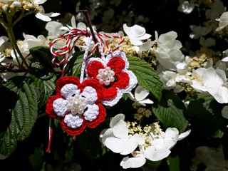 Branch of blossoming cherry tree with a handmade Martisor, it is a Romanian traditional symbol of...