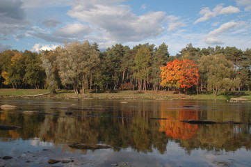 river on a sunny summer day