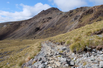 Kepler Track