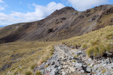 Kepler Track